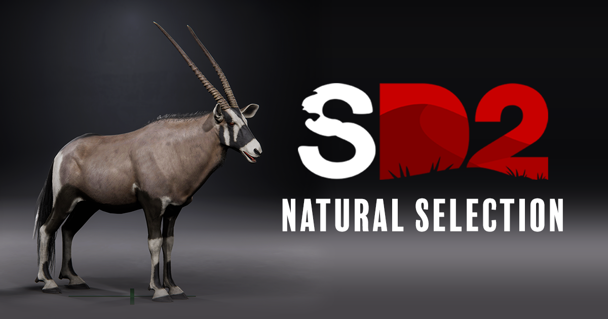 Natural Selection
